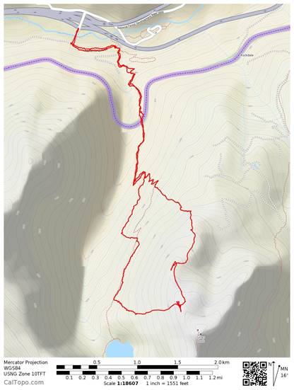 silver peak open cycle