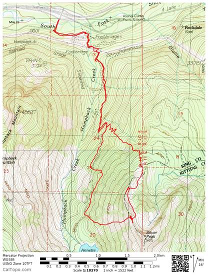 silver peak usgs